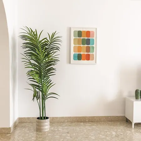 Superlative 3br In The Heart Of By Buena Vista アパート スリーマ